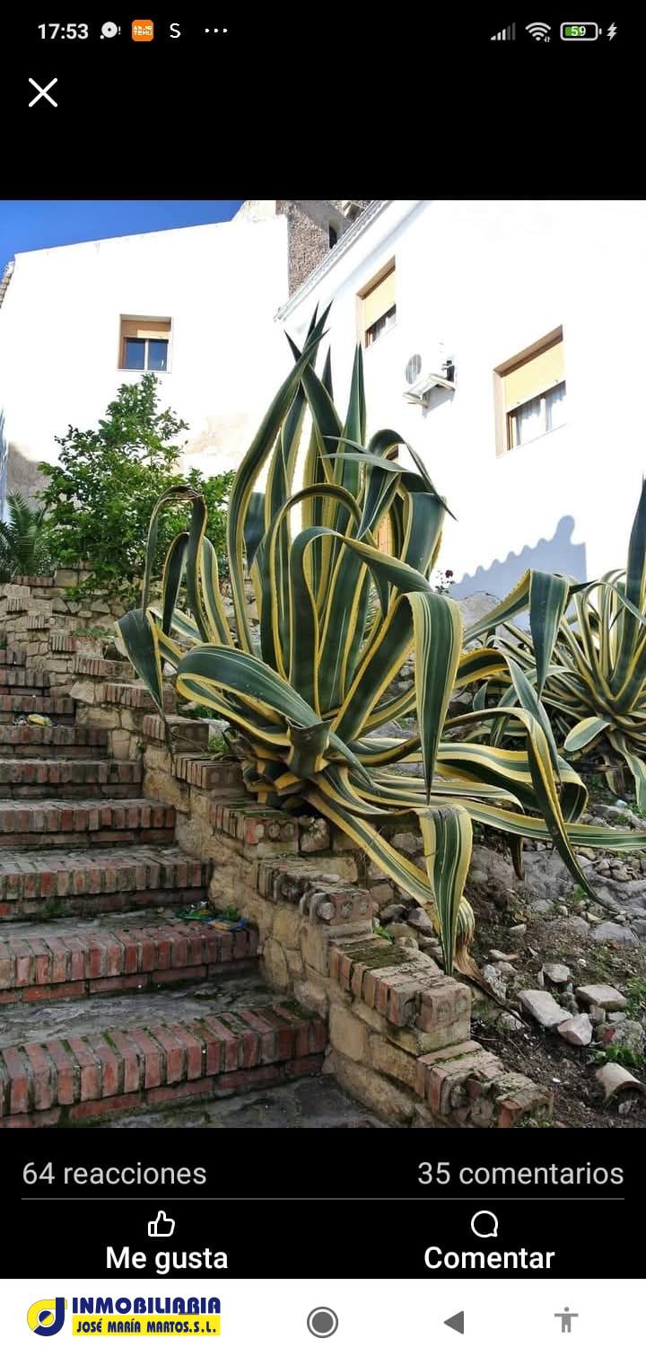 CASA-CHALET EN JÓDAR